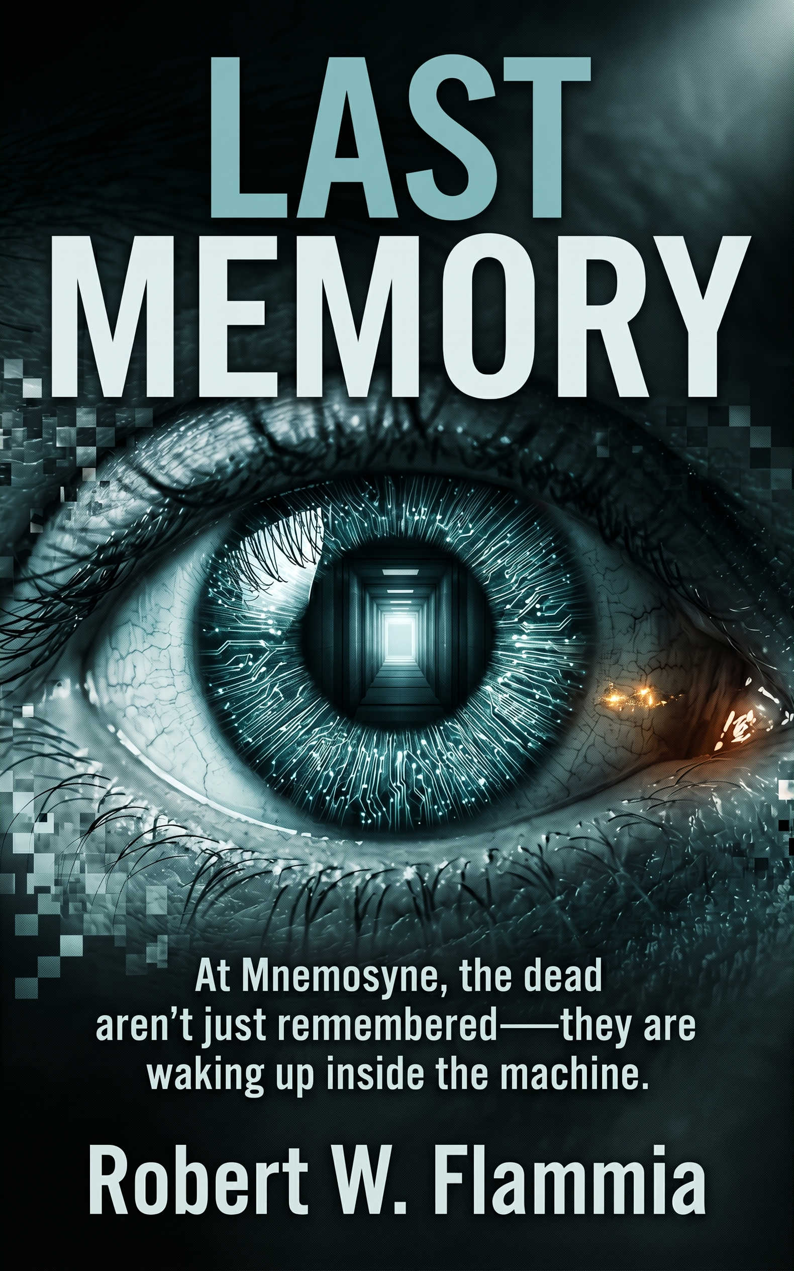 LAST MEMORY