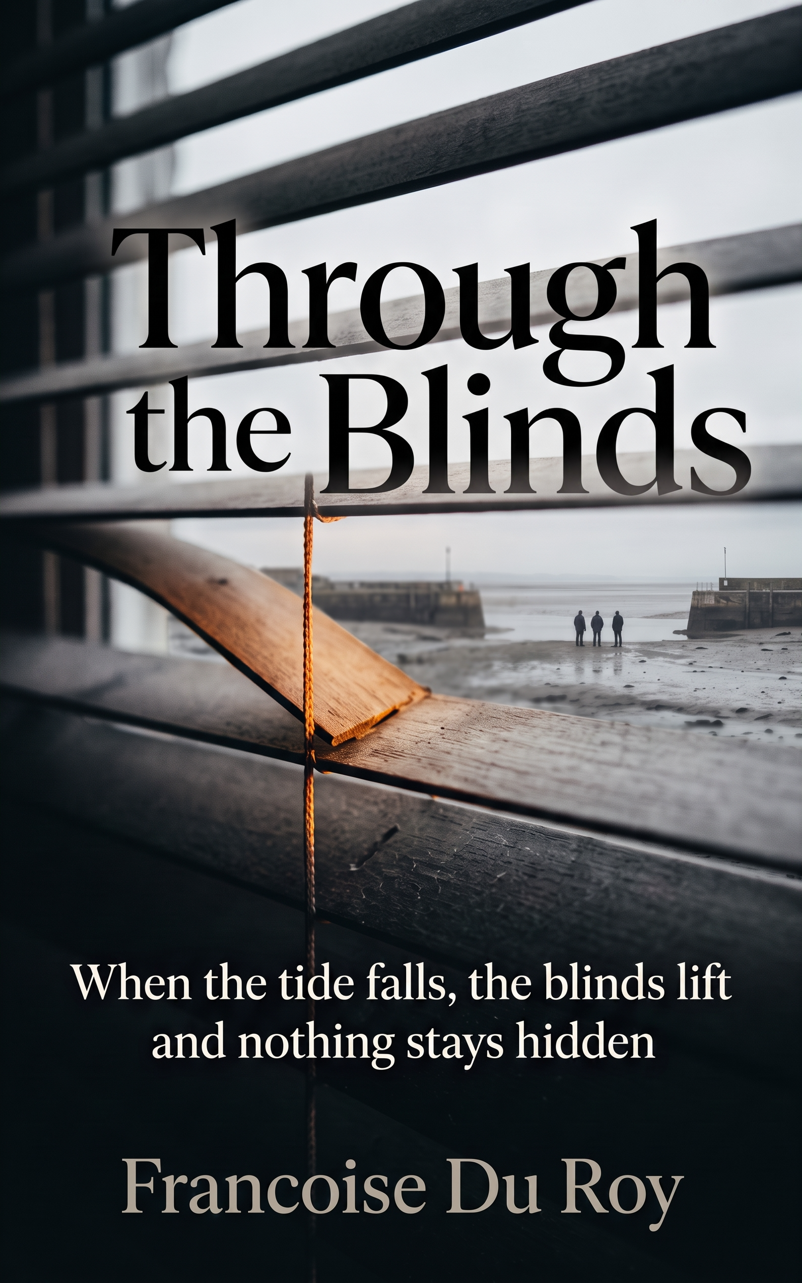 Through the Blinds at Low Tide