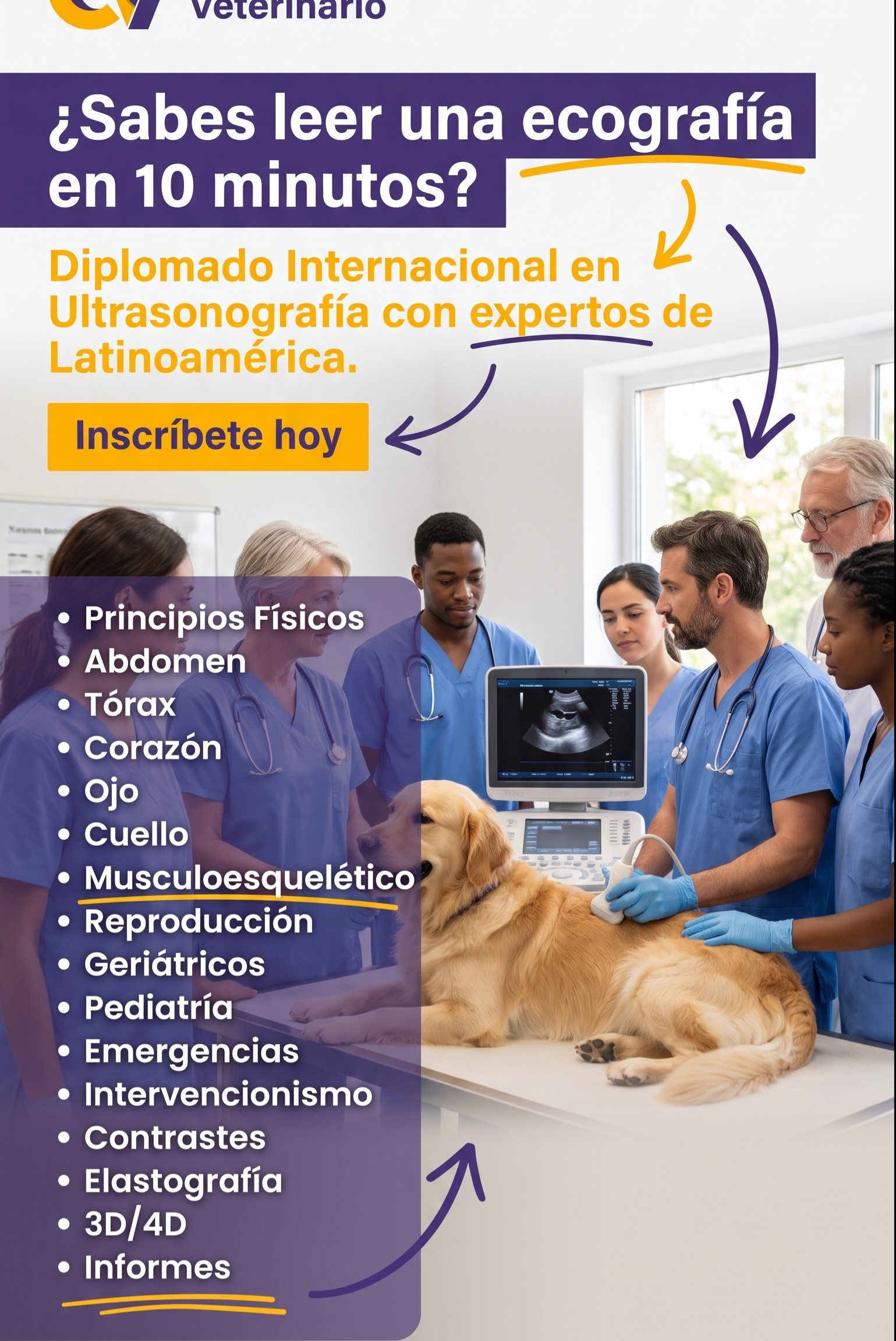 Principios básicos de ultrasonido Veterinario