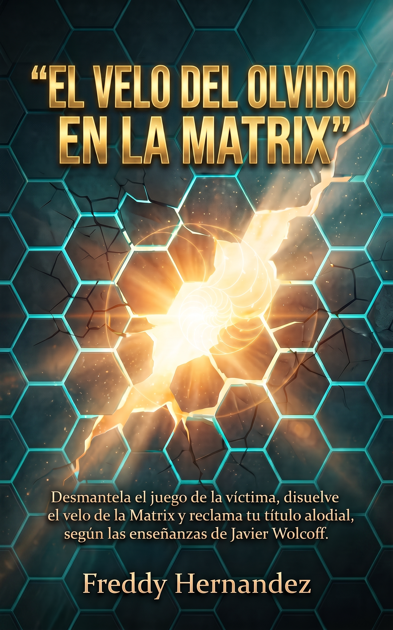 "EL VELO DEL OLVIDO EN LA MATRIX"