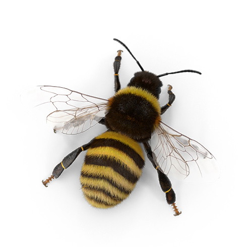 Beekeeper